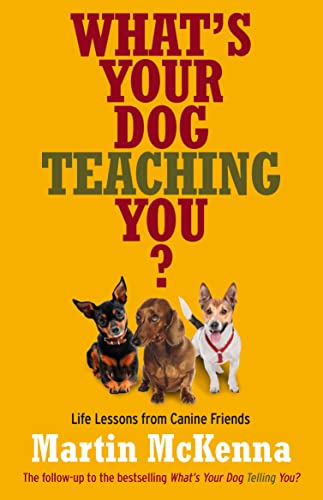 Stock image for What's Your Dog Teaching You? Life Lessons From Canine Friends for sale by WorldofBooks