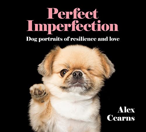Beispielbild fr Perfect Imperfection: Dog Portraits Of Resilience And Love zum Verkauf von Better World Books