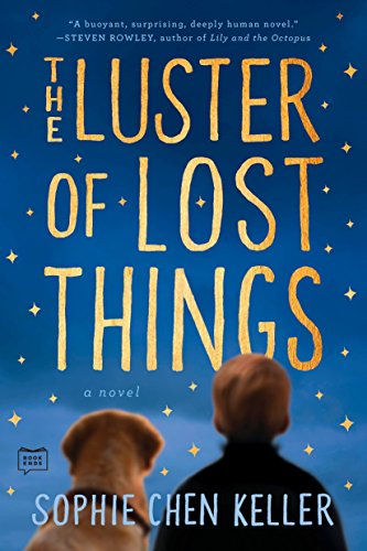 Beispielbild fr The Luster of Lost Things zum Verkauf von Wonder Book