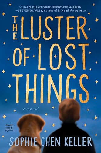 Stock image for The Luster of Lost Things for sale by SecondSale