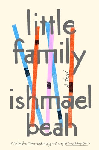 Beispielbild fr Little Family: A Novel zum Verkauf von Orion Tech