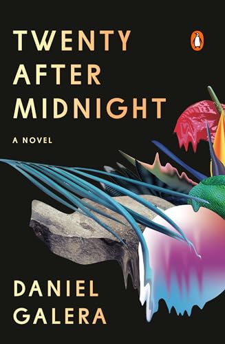 Beispielbild fr Twenty after Midnight : A Novel zum Verkauf von Better World Books