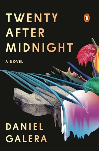 Stock image for Twenty After Midnight: A Novel for sale by SecondSale