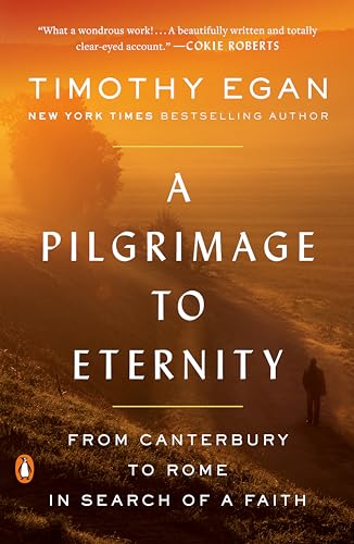 Beispielbild fr A Pilgrimage to Eternity: From Canterbury to Rome in Search of a Faith zum Verkauf von More Than Words