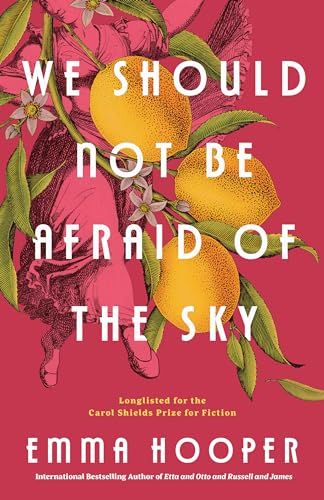 Beispielbild fr We Should Not Be Afraid Of The Sky zum Verkauf von Blackwell's