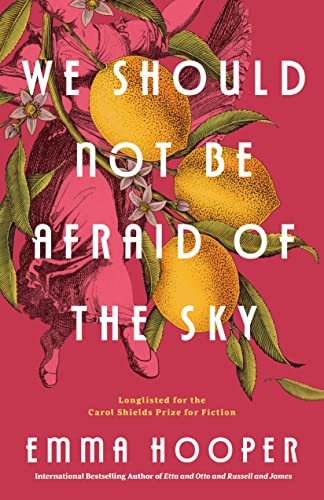 Stock image for We Should Not Be Afraid of the Sky for sale by Book Deals