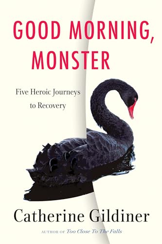 Imagen de archivo de Good Morning, Monster : Five Heroic Journeys to Recovery a la venta por Better World Books