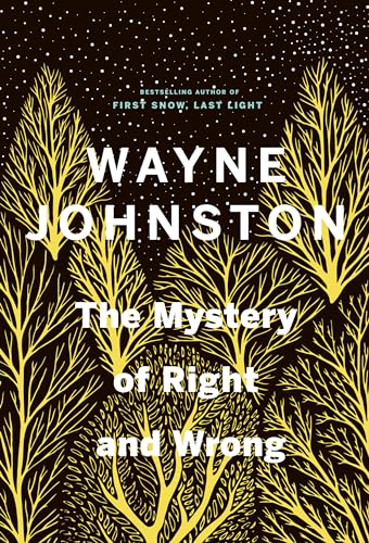 Imagen de archivo de The Mystery of Right and Wrong a la venta por Zoom Books Company