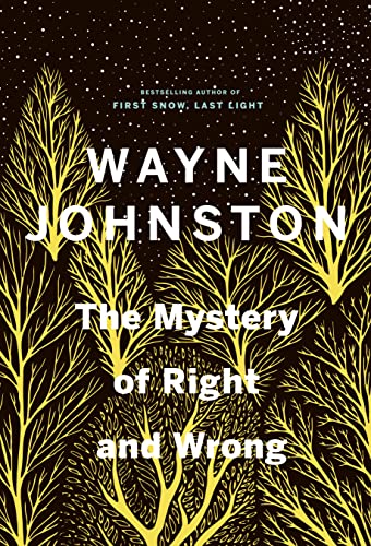 9780735281639: The Mystery of Right and Wrong
