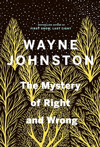 9780735281639: The Mystery of Right and Wrong