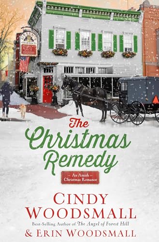 Beispielbild fr The Christmas Remedy: An Amish Christmas Romance zum Verkauf von Gulf Coast Books