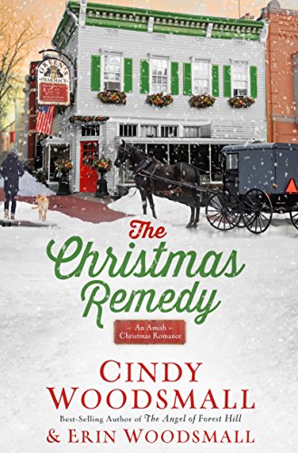 Stock image for The Christmas Remedy: An Amish Christmas Romance for sale by Gulf Coast Books