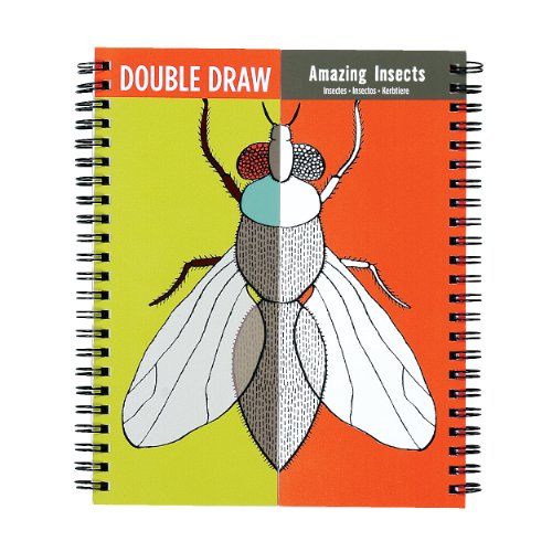 Stock image for Hachette Book Amazing Insects Double Draw for sale by Books-FYI, Inc.