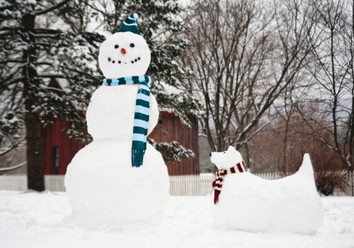 9780735341302: Snowman & Snowdog: Boxed Holiday Half Notecards