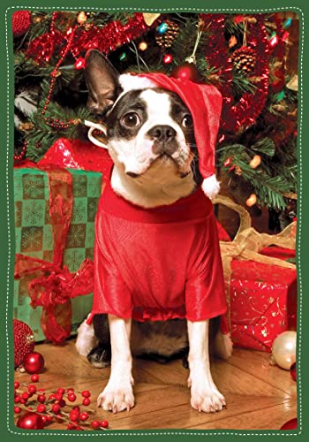 9780735344150: Santa's Little Helper Holiday Half Notecards: Boxed Holiday Half Notecards