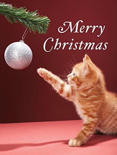 9780735344457: Christmas Kitty Boxed Holiday Full Notecards