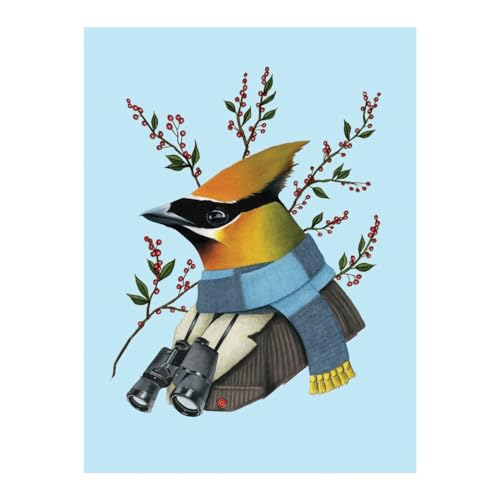 9780735352315: Berkley Bestiary Winter Waxwing Large Embellished Holiday Notecards: Large Embellished Notecards