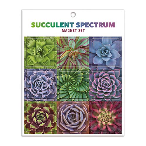 Stock image for Succulent Spectrum Magnet Set for sale by Revaluation Books