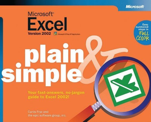 Imagen de archivo de Microsoft� Excel Version 2002 Plain & Simple a la venta por Wonder Book