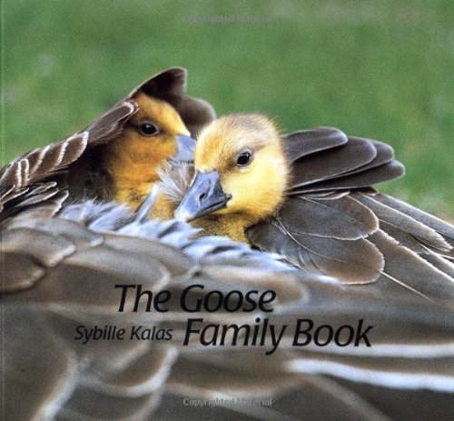 Stock image for Goose Family Book for sale by Better World Books: West
