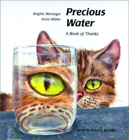 Stock image for Precious Water for sale by Half Price Books Inc.