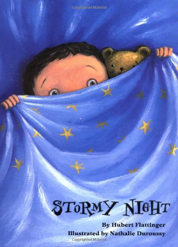 Beispielbild fr Stormy Night zum Verkauf von Better World Books