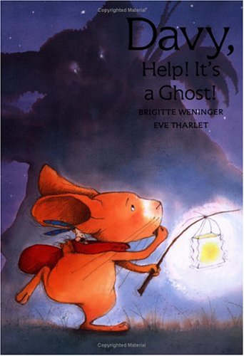 Stock image for Davy, Help! It's a Ghost! for sale by Better World Books