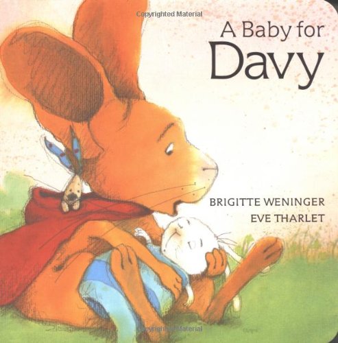 Beispielbild fr A Baby for Davy (Davy Board Books) zum Verkauf von Wonder Book