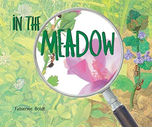 Imagen de archivo de In The Meadow a la venta por Ebooksweb