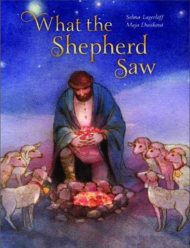 Imagen de archivo de What the Shepherd Saw a la venta por ZBK Books