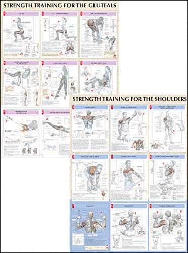 Imagen de archivo de Strength Training Anatomy Poster Series a la venta por Save With Sam