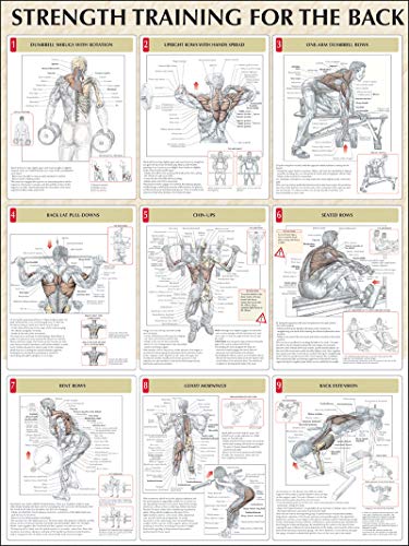 9780736059329: Strength Training For The Back