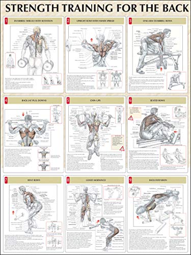 9780736059329: Strength Training for the Back