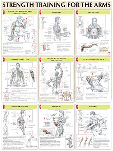 9780736059336: Strength Training for the Arms