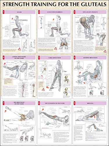 9780736059374: Strength Training For The Gluteals