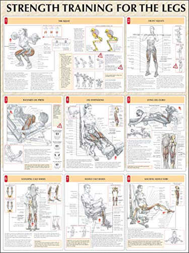 Beispielbild fr Strength Training for the Legs zum Verkauf von Books Unplugged