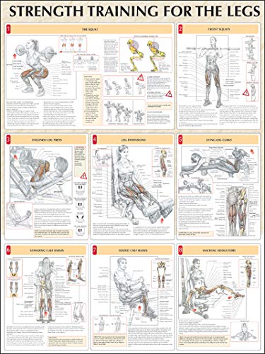9780736059381: Strength Training for the Legs