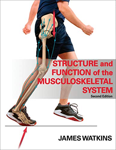 Imagen de archivo de Structure and Function of the Musculoskeletal System a la venta por AwesomeBooks
