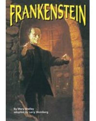 Stock image for inZone Book: Frankenstein (Reader's Workshop) for sale by SecondSale