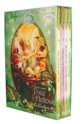 Stock image for Tales From Pixie Hollow 4 copy Box Set (Disney Fairies)(Trouble with Tink, Lily's Pesky Plant, Vidia and the Fairy Crown, Beck and the Great Berry Battle) for sale by Books of the Smoky Mountains