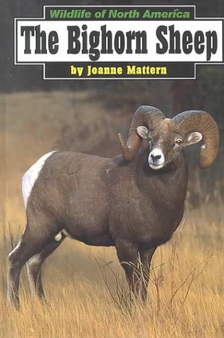 The Bighorn Sheep (Wildlife of North America) (9780736800280) by Mattern, Joanne