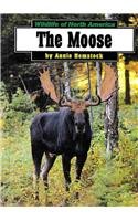 Stock image for The Moose for sale by Better World Books: West