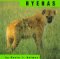 Stock image for Hyenas (Animals) for sale by SecondSale