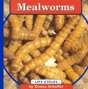 Mealworms (Life Cycles.) (9780736802093) by Schaffer, Donna