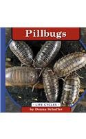 Pillbugs (Life Cycles) - Donna Schaffer