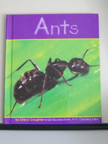 Beispielbild fr Ants zum Verkauf von Better World Books