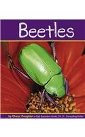 Beispielbild fr Beetles zum Verkauf von ThriftBooks-Atlanta
