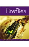 Beispielbild fr Fireflies zum Verkauf von Better World Books