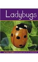 Beispielbild fr Ladybugs zum Verkauf von ThriftBooks-Atlanta