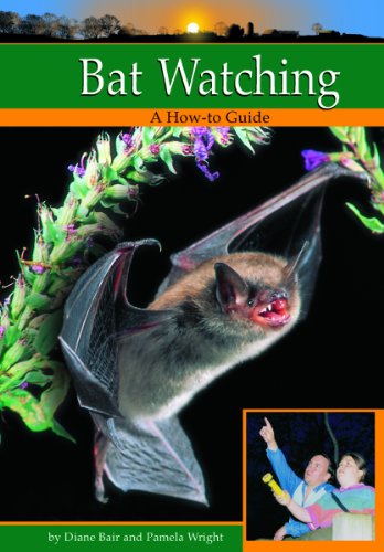 Stock image for Bat Watching (Wildlife Watching) for sale by SecondSale